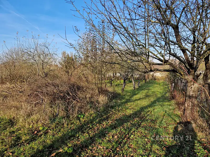 Prodej stavebního pozemku 508 m², Čebín – náhled fotky 3