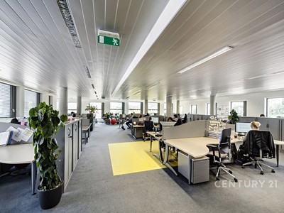 Gewerbefläche zur Miete, 253 m² (3 von 3)