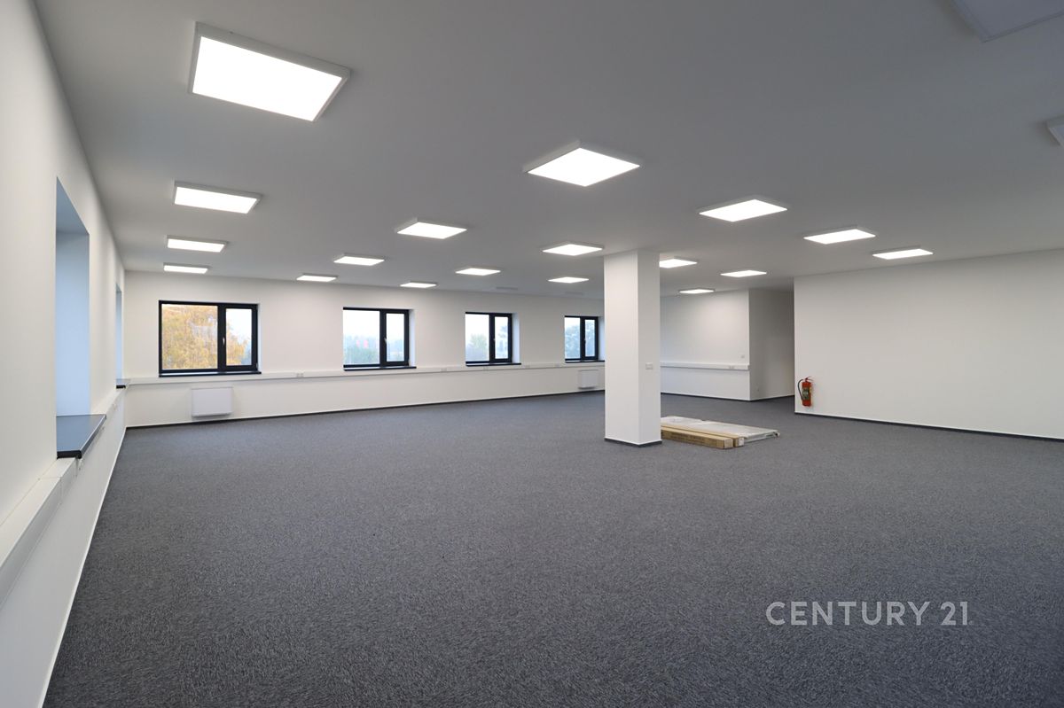 Pronájem kanceláře 250 m²