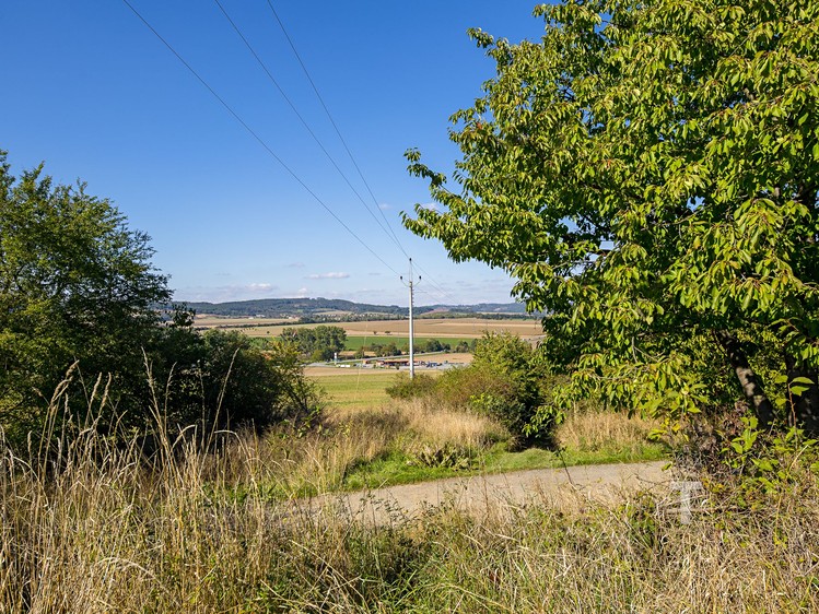 Grundstück zum Kauf, 2.981 m² (7 von 14)