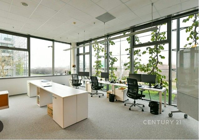 Pronájem kanceláře 530 m² – fotografie 2