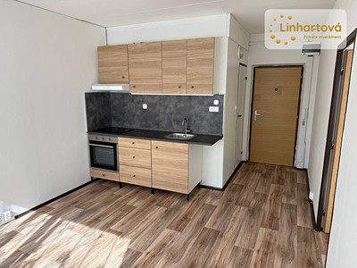 Pronájem bytu 1+1 43 m² (Jednopodlažní)