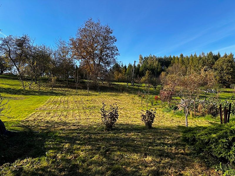 Prodej rodinného domu 79 m², pozemek 1343 m² – fotografie 2