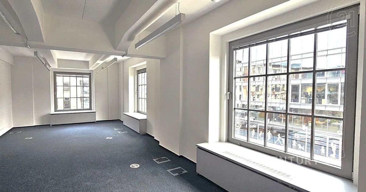 Pronájem kanceláře 369 m² – fotografie 3