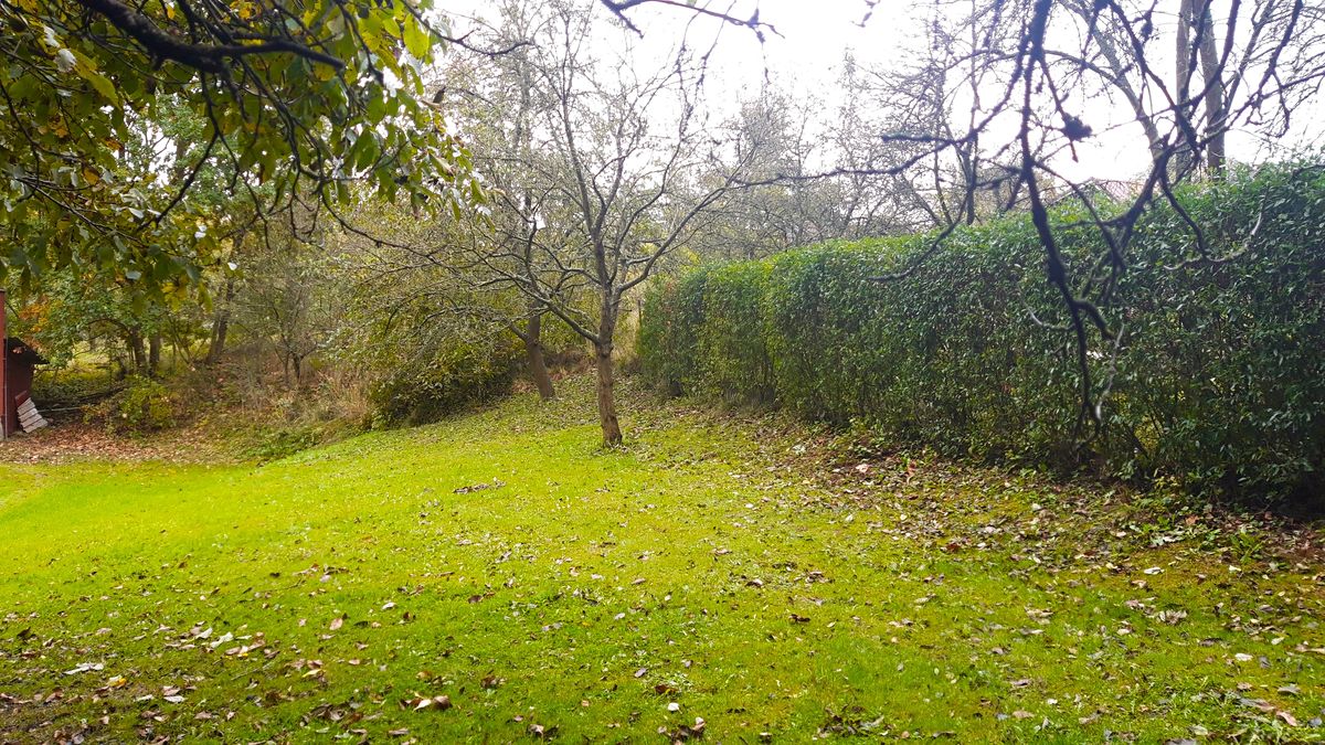 Prodej zahrady 239 m², Libina – fotka 1 z 3