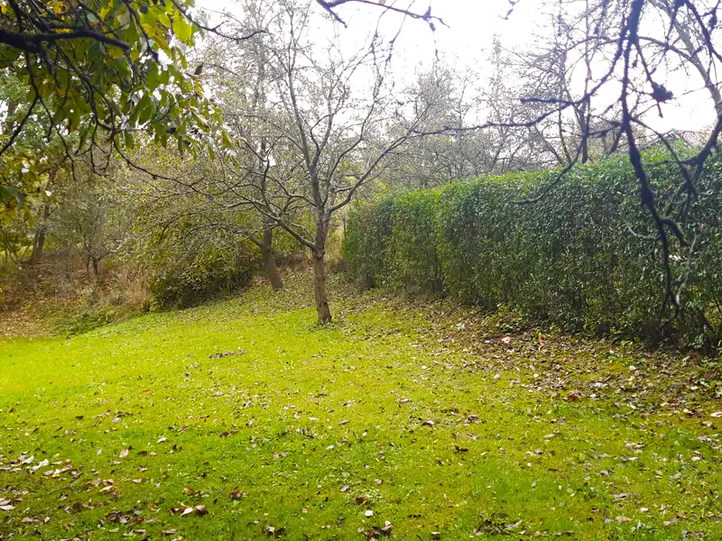 Prodej zahrady 239 m², Libina – náhled fotky 1