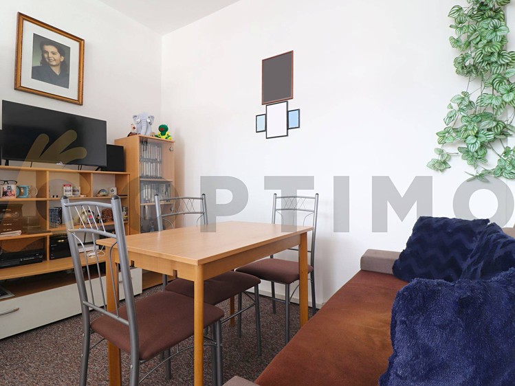 Prodej bytu 1+1, 44 m² (4 z 18)