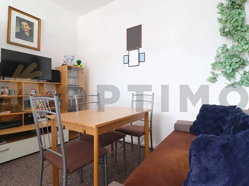 Prodej bytu 1+1 44 m², Praha – náhled fotky 3