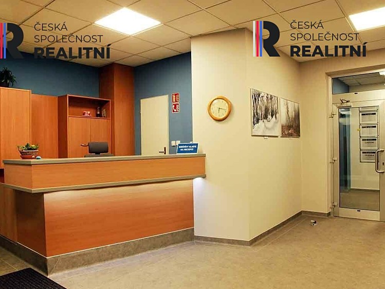 Pronájem komerčního prostoru, 29 m² (3 z 23)