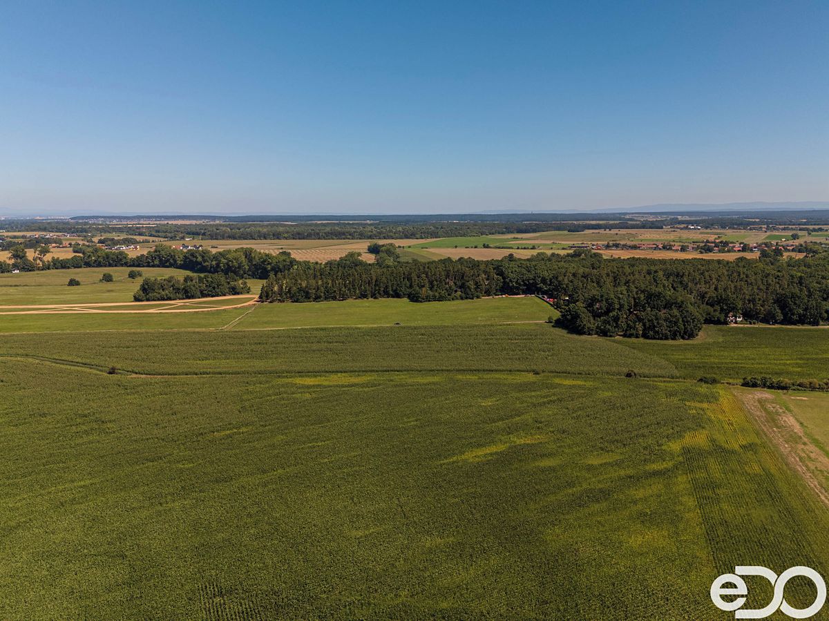 Prodej chaty 30 m², pozemek 30 m² – fotografie 3