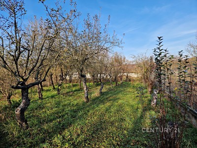 Čebín, okres Brno-venkov