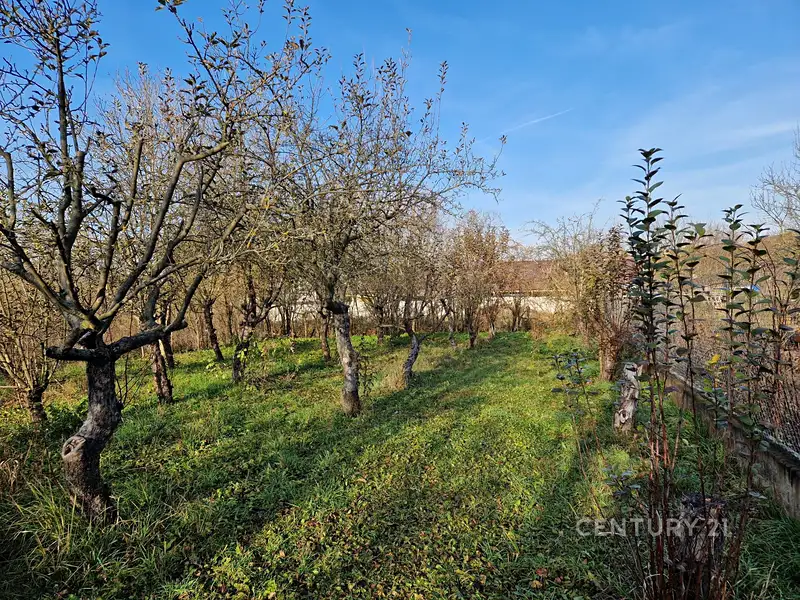 Prodej stavebního pozemku 508 m², Čebín – náhled fotky 1