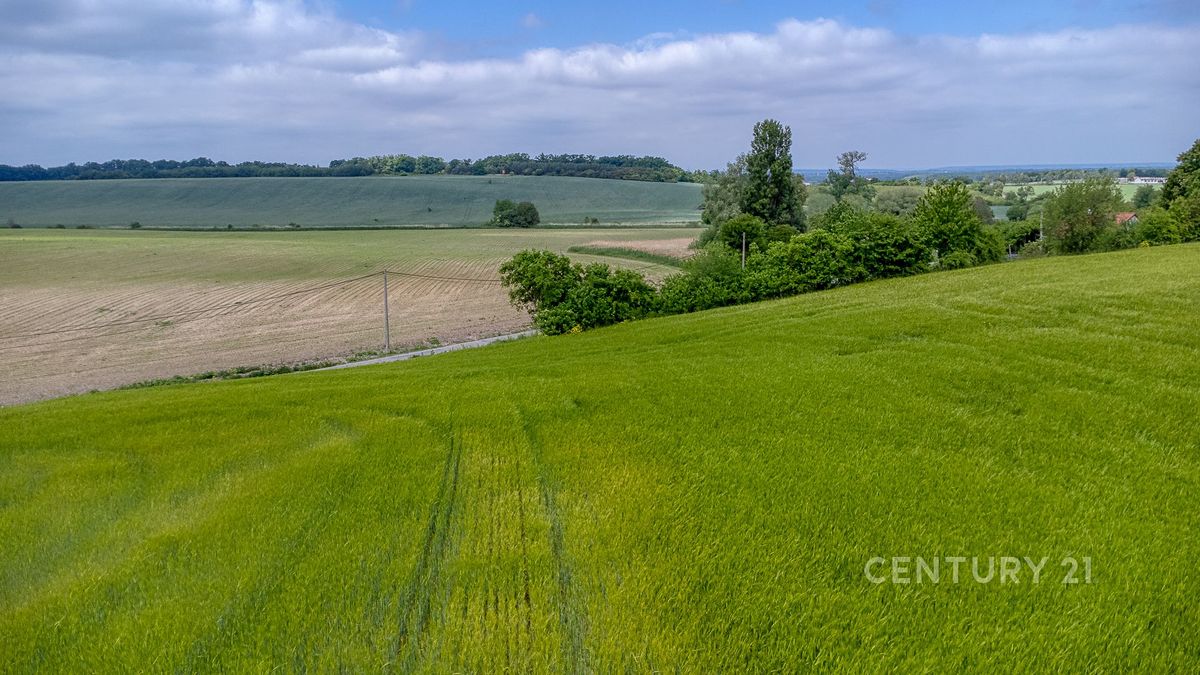 Prodej stavebního pozemku 1510 m² – fotografie 5