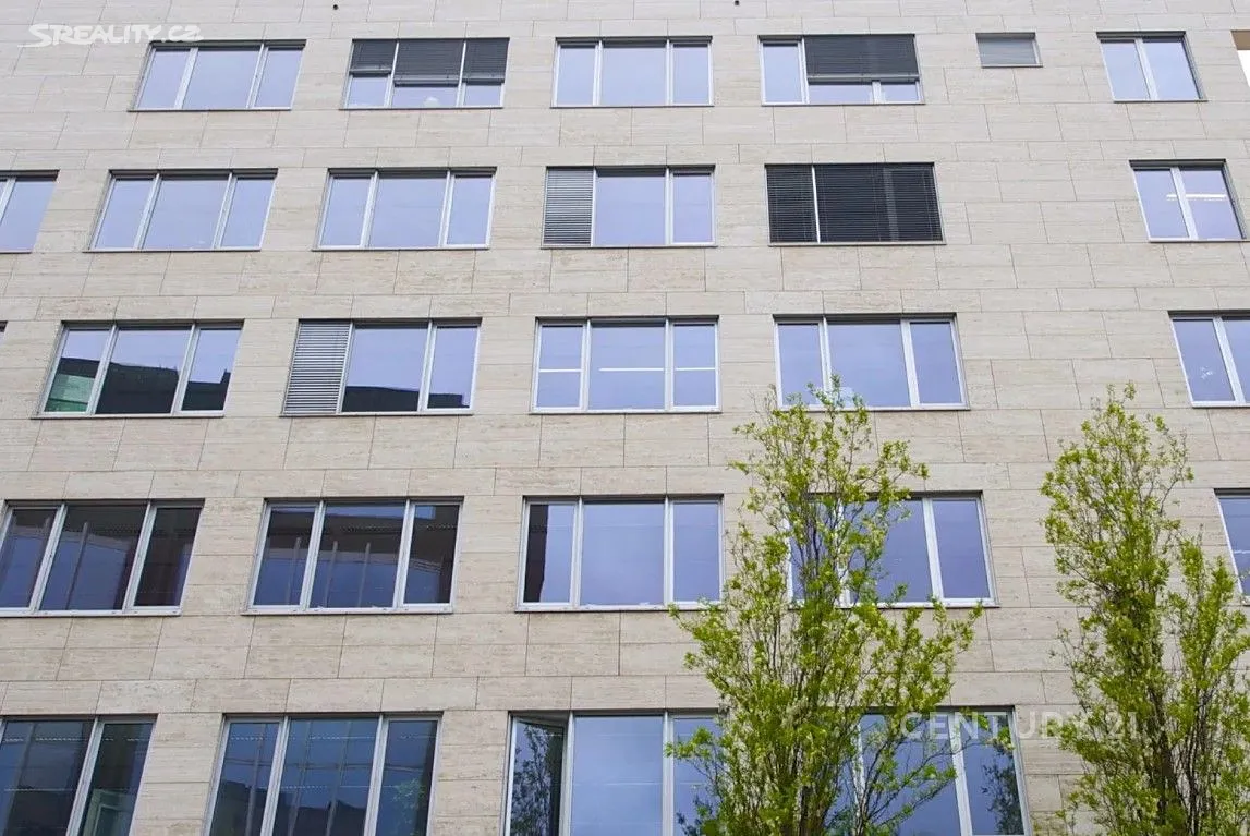 Pronájem kanceláře 485 m² - View 2