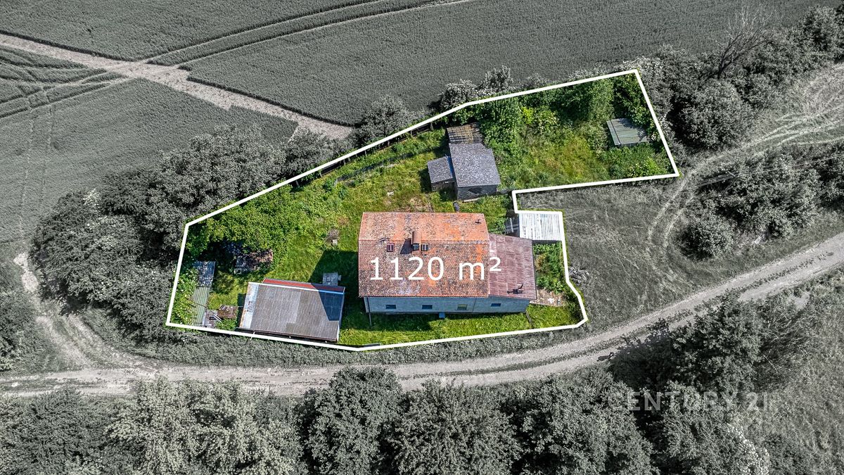 Prodej rodinného domu 341 m², pozemek 1120 m² – fotografie 5
