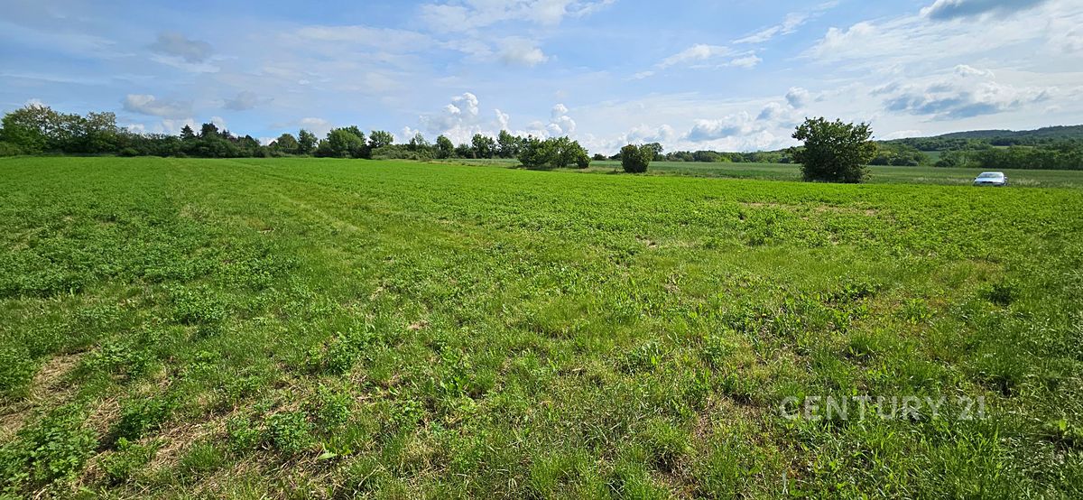 Prodej stavebního pozemku 1379 m² – fotografie 3