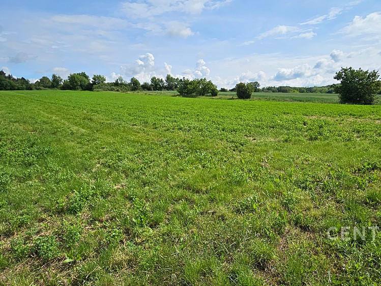 Prodej pozemku, 1 379 m² (3 z 6)