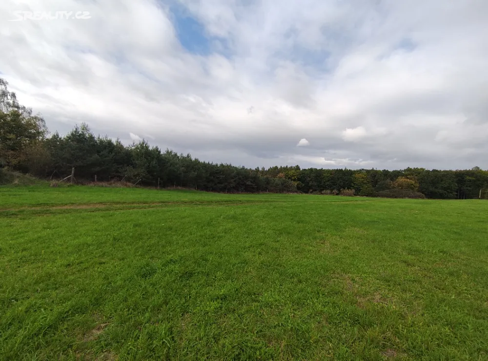 Prodej lesa 44533 m² – pohled 3