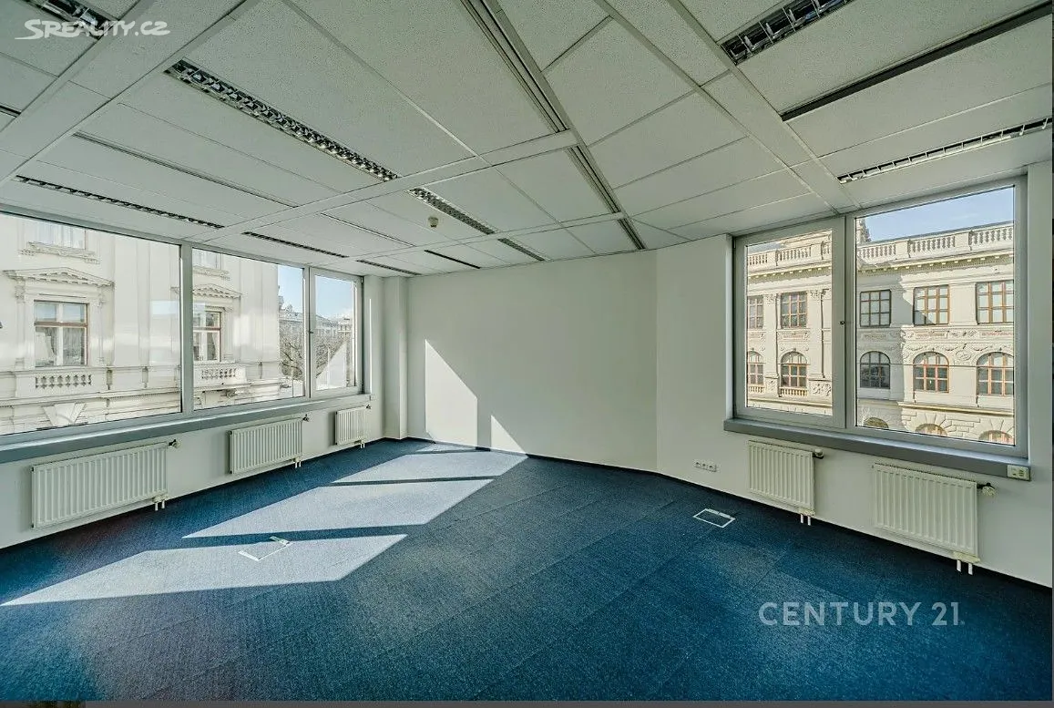 Pronájem kanceláře 485 m² - View 5