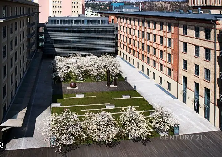 Pronájem kanceláře 650 m², Praha – náhled fotky 2