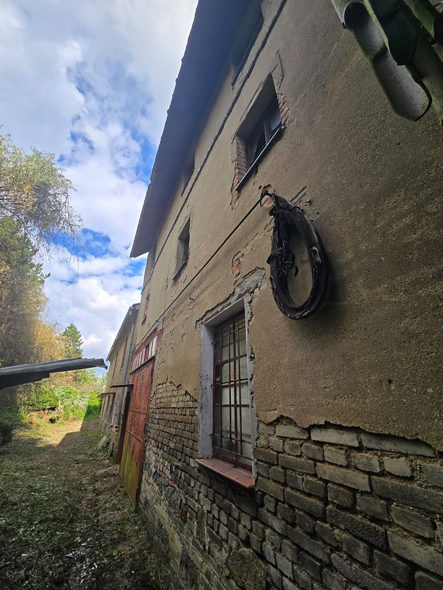Prodej rodinného domu 300 m², pozemek 1328 m² – fotografie 3