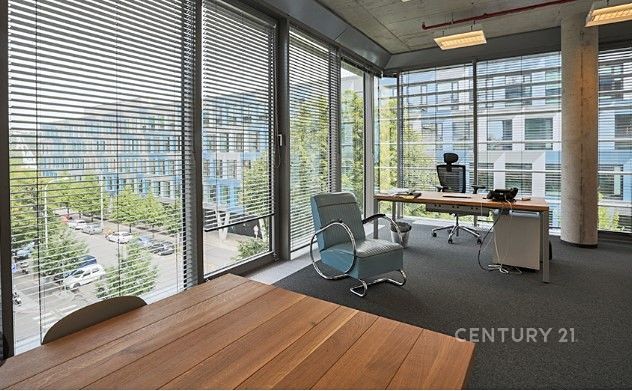 Pronájem komerčního prostoru, 369 m² (4 z 8)