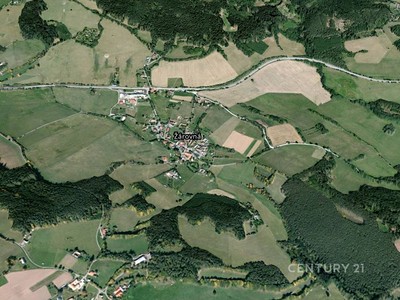 Prodej  pole 4 213 m² — photo 4