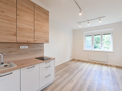 Pronájem bytu 1+kk 28 m² (Jednopodlažní)