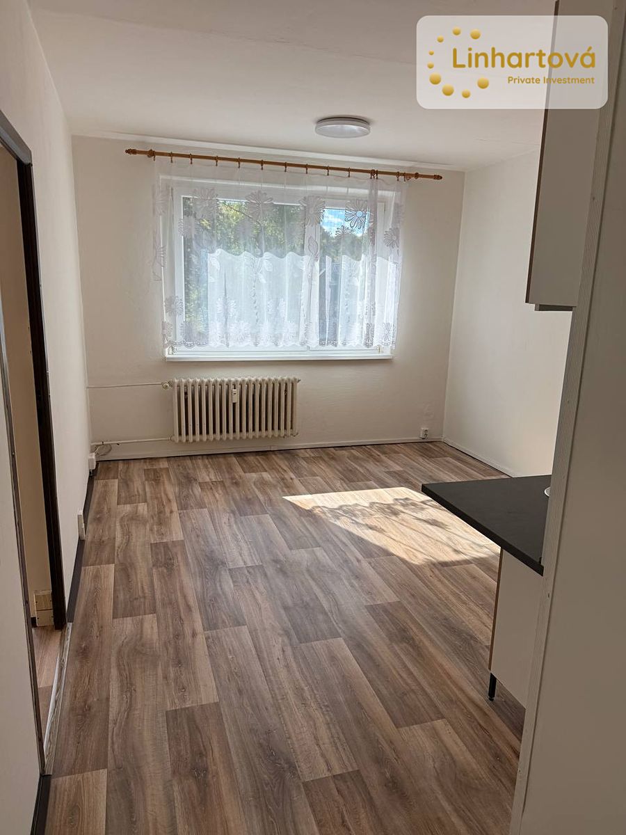 Pronájem bytu 1+1 43 m² – fotografie 5