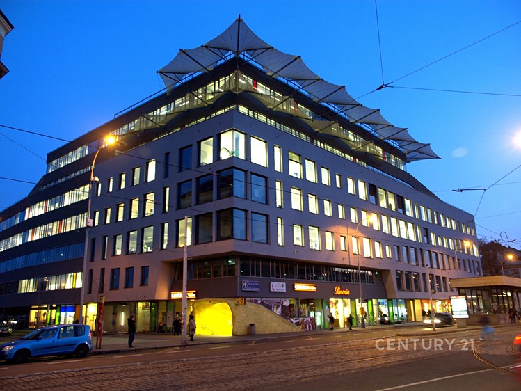 Комерційне приміщення в оренду, 239 м² (1 з 31)