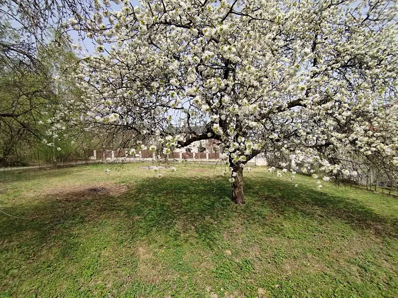Prodej stavebního pozemku 856 m², Chrustenice – náhled fotky 3