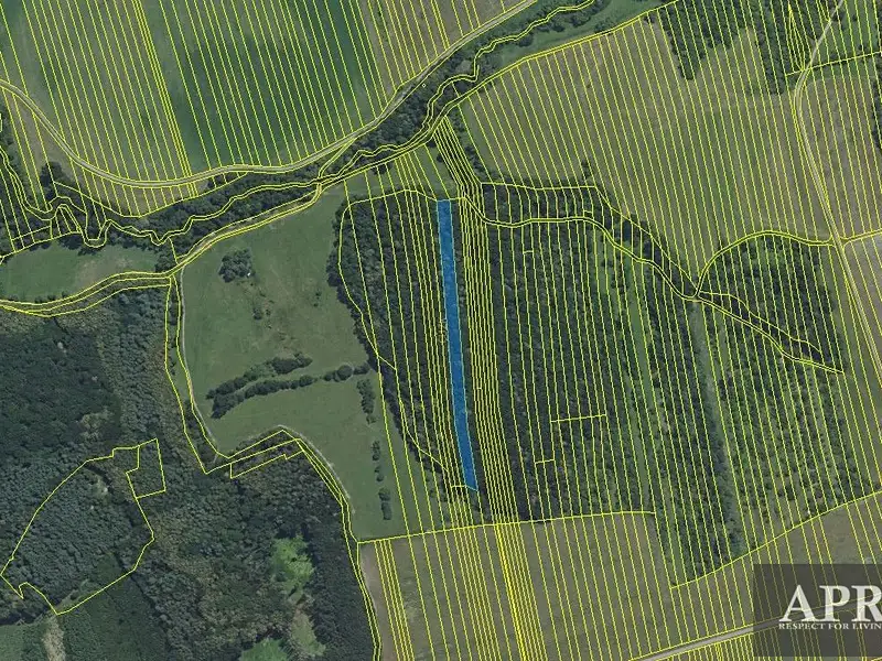 Prodej lesa 4947 m², Hradčovice – náhled fotky 3