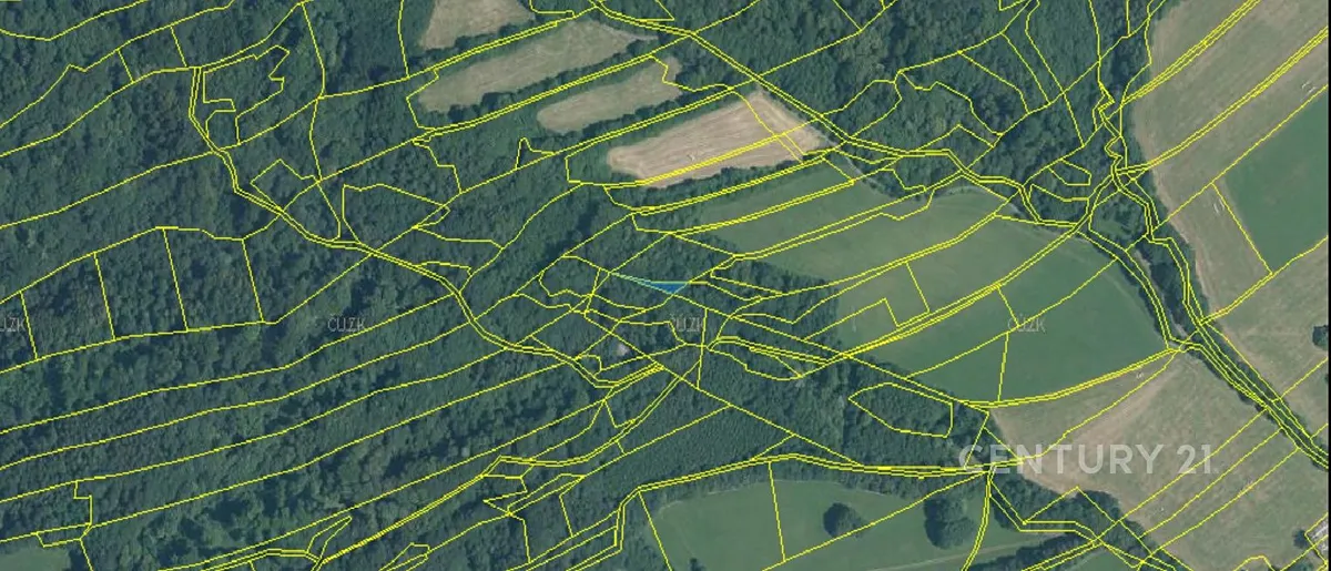 Fotka 12 z 19