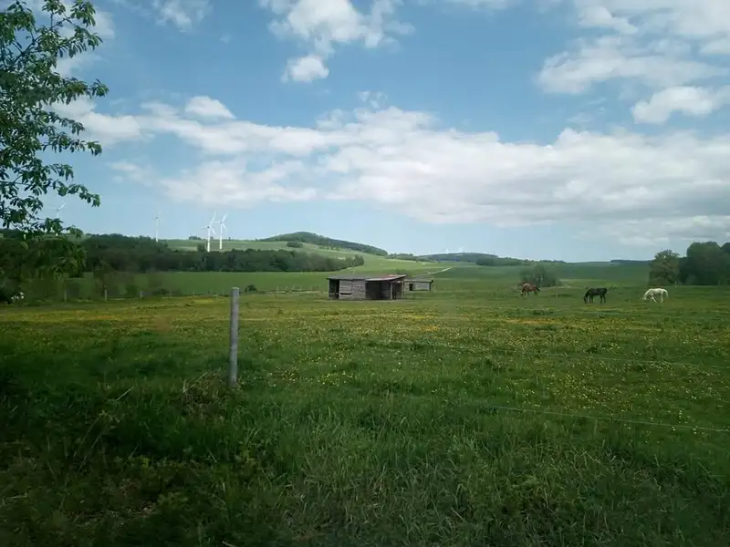Prodej stavebního pozemku 870 m², Hrádek nad Nisou – náhled fotky 1
