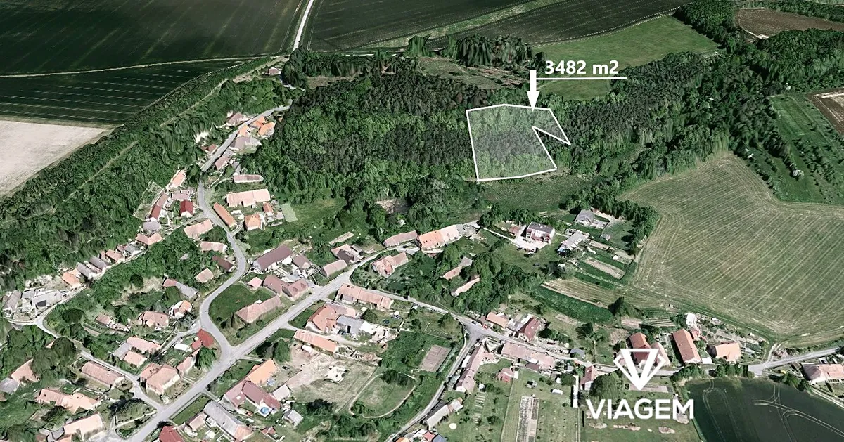 Prodej lesa 3501 m²