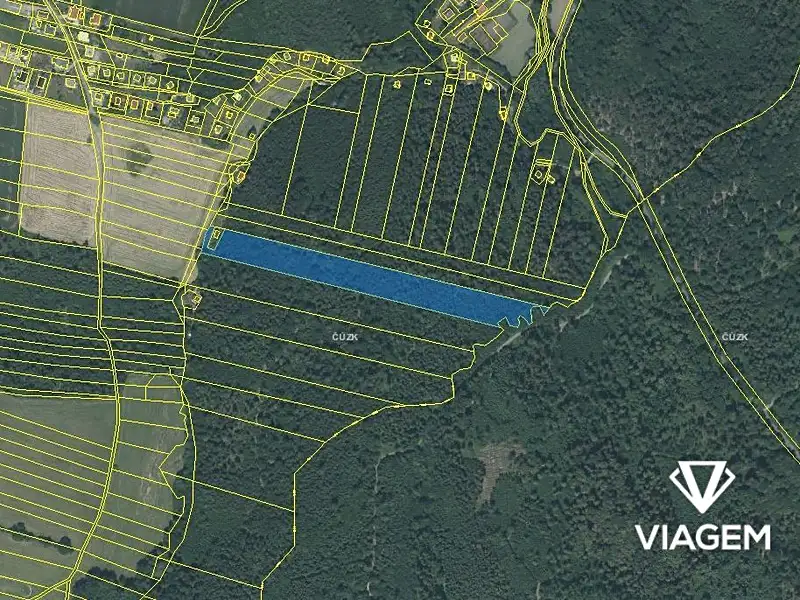 Prodej lesa 15606 m², Opava – náhled fotky 3