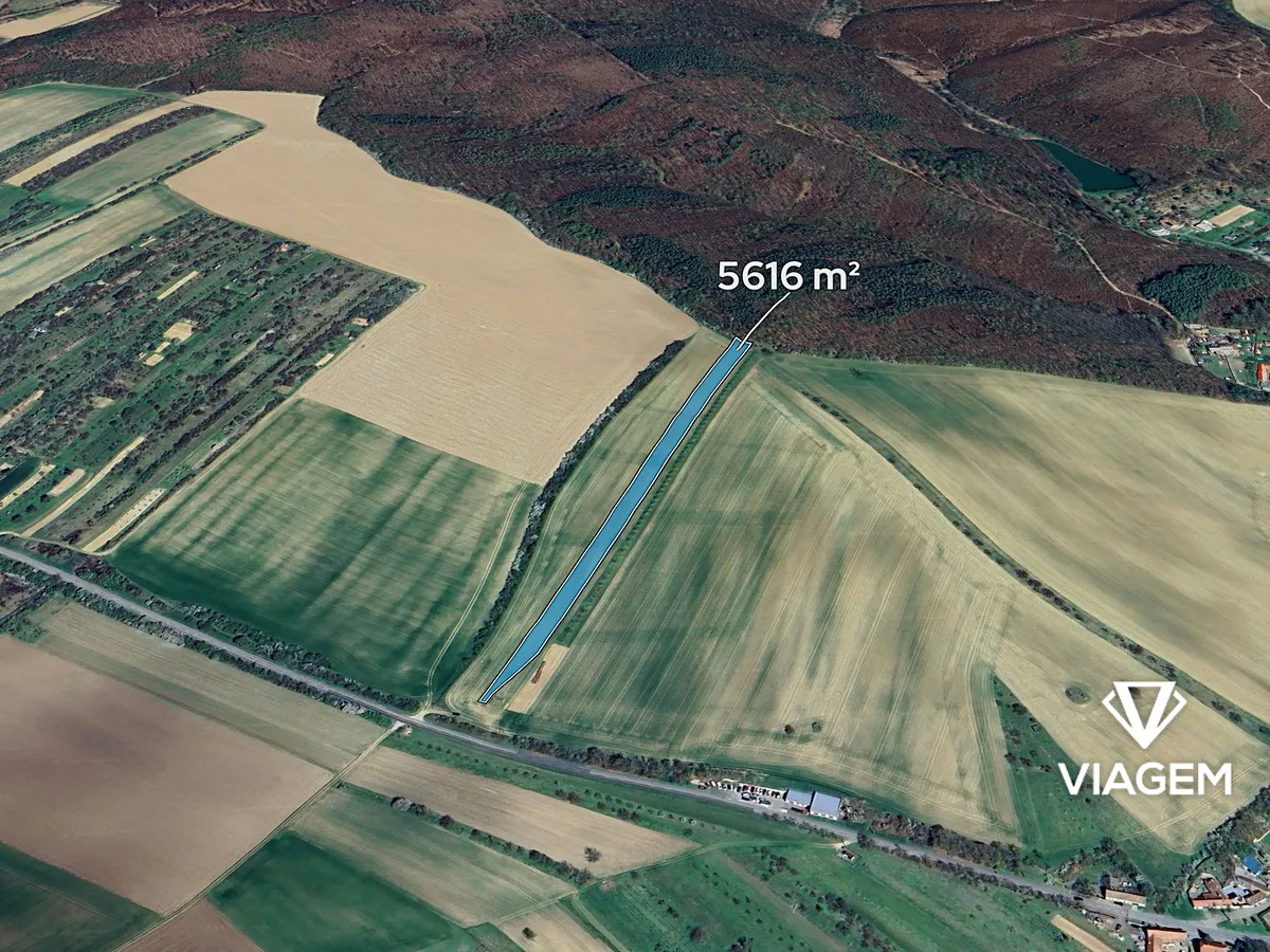 Prodej podílu 1/8 pole 702 m²
