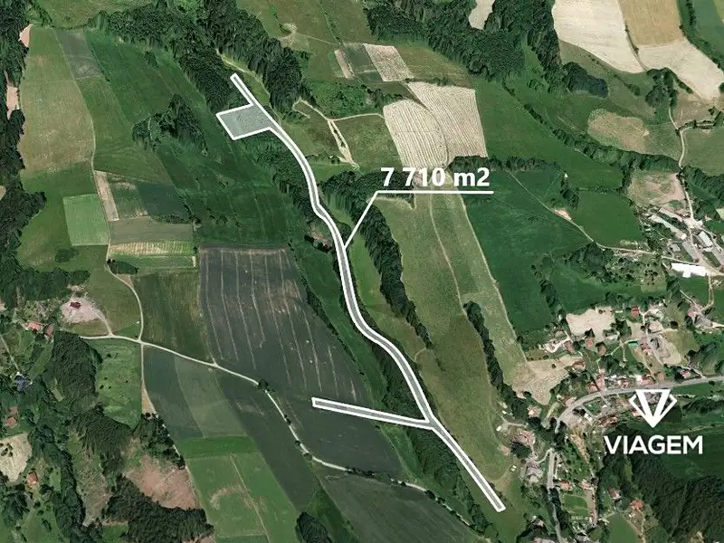 Prodej lesa 5621 m², Košťálov – náhled fotky 1