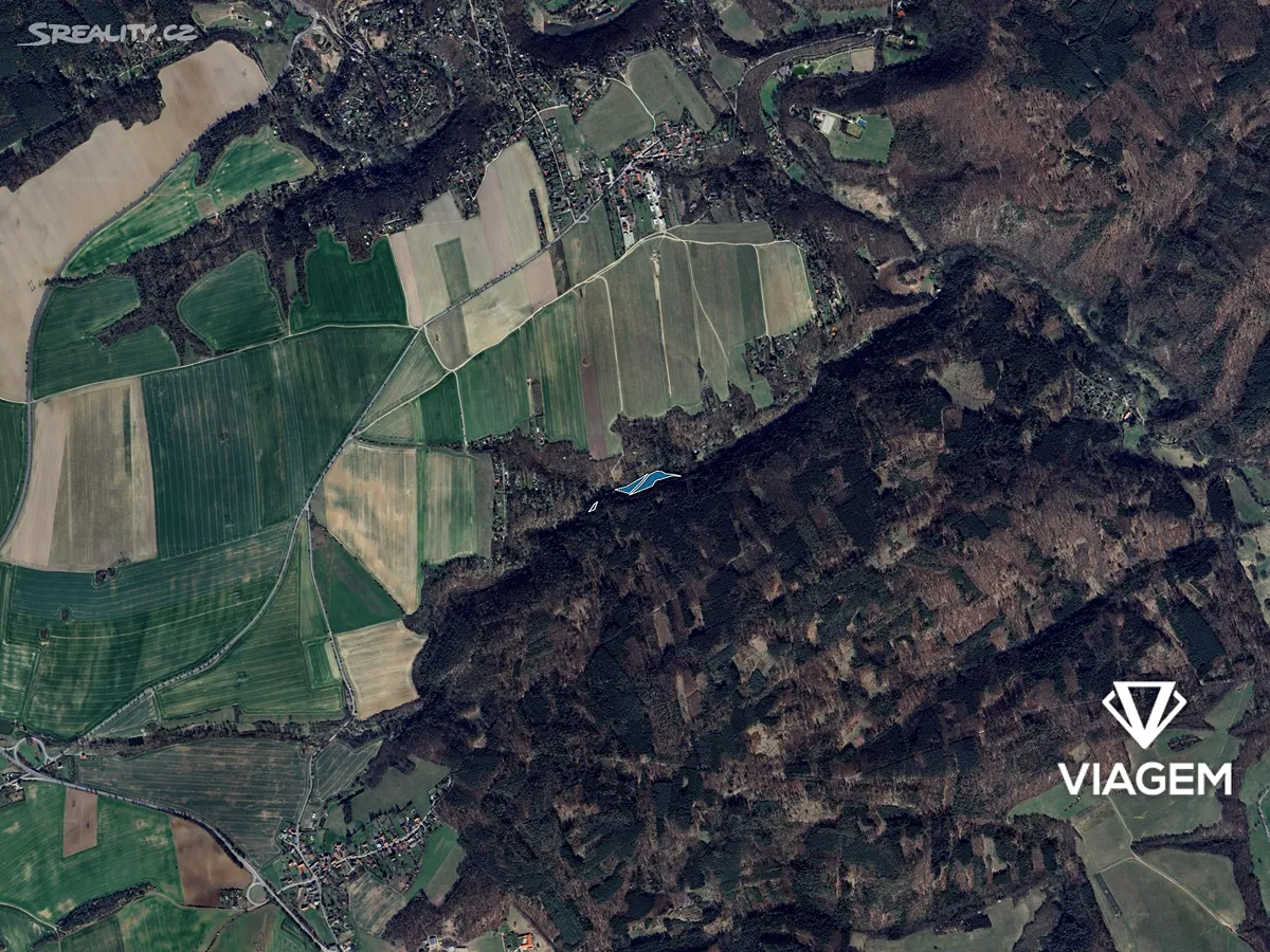 Prodej podílu 1/2 lesa 2603 m² – pohled 3