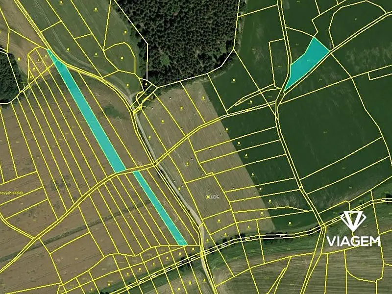 Prodej pole 4490 m², Vysočany – náhled fotky 3