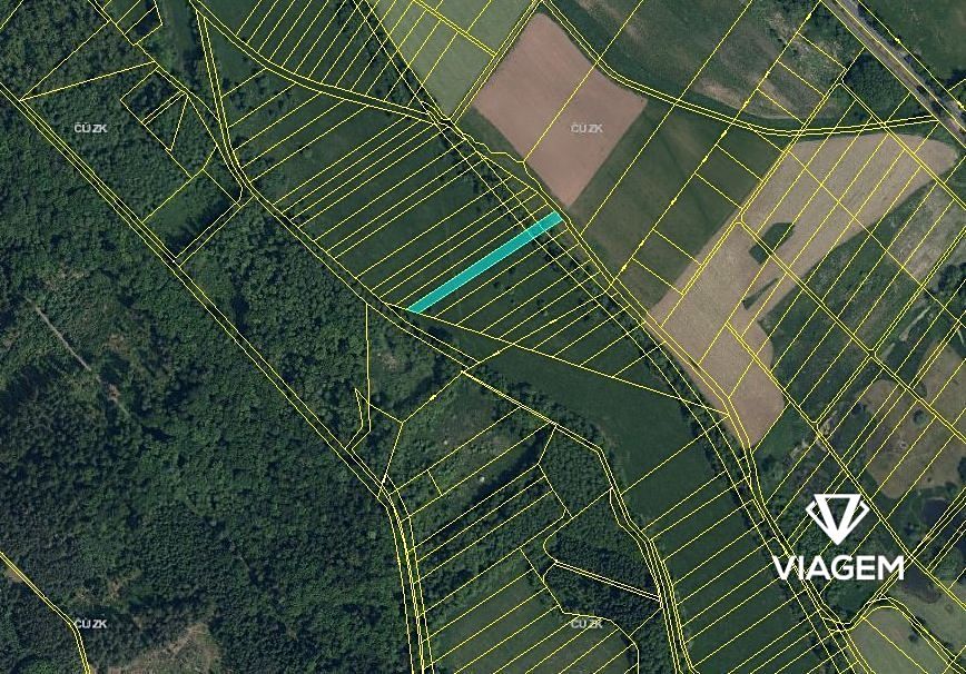 Prodej pole 1693 m² – fotografie 3