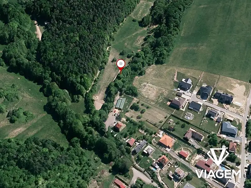 Prodej lesa 1015 m², Lípa – náhled fotky 1