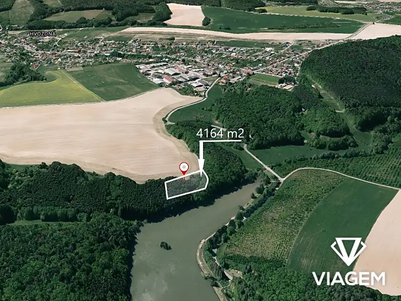 Prodej lesa 4164 m², Hvozdná – náhled fotky 1