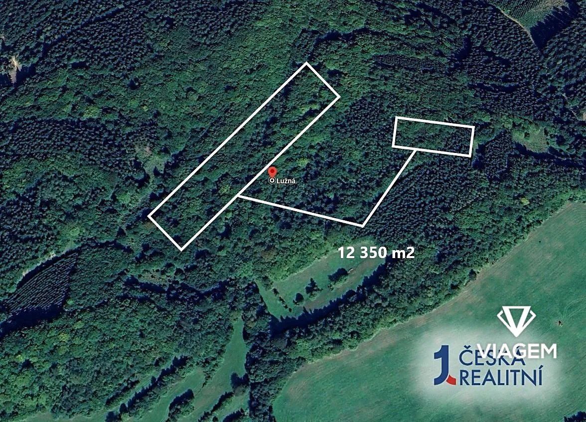 Prodej podílu 1/4 lesa 3087 m²