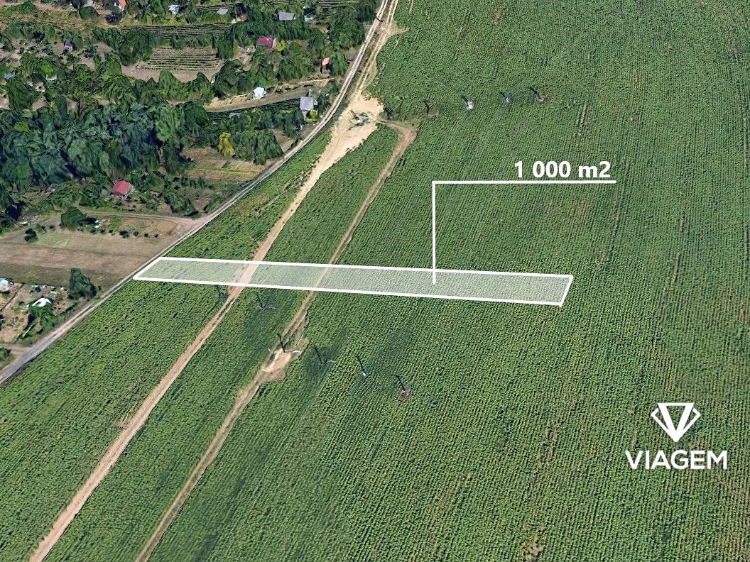 Prodej pole 1000 m²
