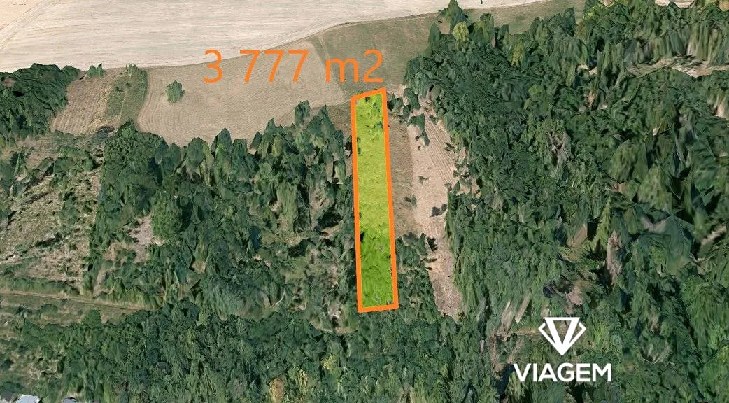 Prodej lesa 3777 m²