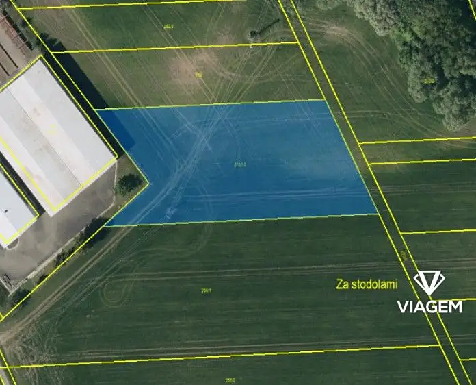 Prodej pole 5054 m², Víceměřice – náhled fotky 3