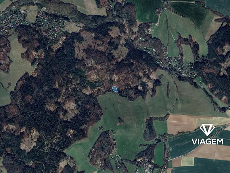 Prodej lesa 2484 m², Stříbrná Skalice – náhled fotky 3