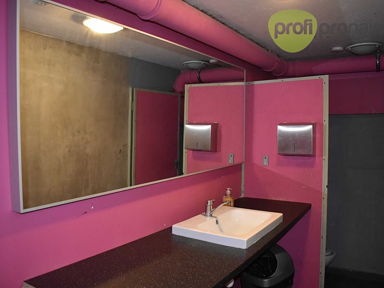 Pronájem komerčního prostoru, 220 m² (11 z 12)