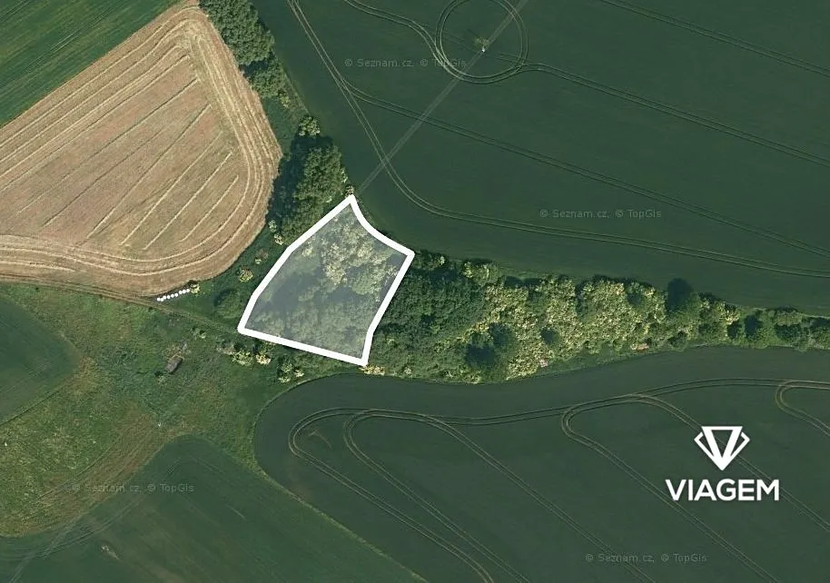 Prodej podílu 1/6 pole 602 m²